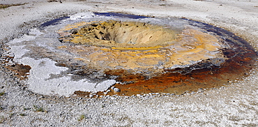 Mustard Spring, geyser, Biscuit Basin, Upper Geyser Basin, Yellowstone National Park, Wyoming, United States of America, USA