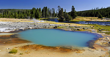 Black Opal Spring, geyser, Biscuit Basin, Upper Geyser Basin, Yellowstone National Park, Wyoming, United States of America, USA