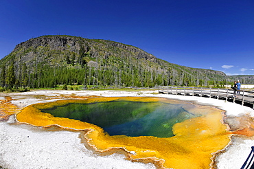 Emerald Pool, geyser, drainage area with a boardwalk, coloured thermophilic bacteria, microorganisms, Black Sand Basin, Upper Geyser Basin, Yellowstone National Park, Wyoming, United States of America, USA