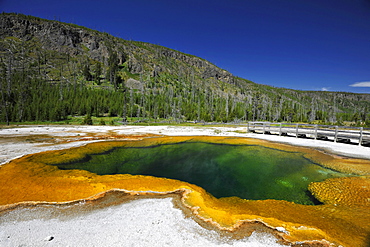 Emerald Pool, geyser, drainage area with a boardwalk, coloured thermophilic bacteria, microorganisms, Black Sand Basin, Upper Geyser Basin, Yellowstone National Park, Wyoming, United States of America, USA