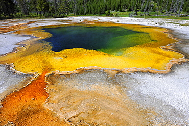 Emerald Pool, geyser, drainage area with a boardwalk, coloured thermophilic bacteria, microorganisms, Black Sand Basin, Upper Geyser Basin, Yellowstone National Park, Wyoming, United States of America, USA