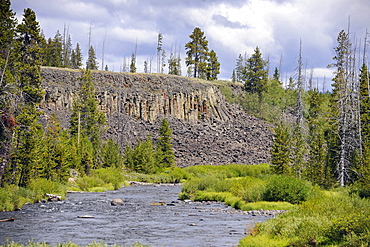 Sheepeater Cliffs, basalt cliffs, also known as Tukuaduka, Gardner River, Yellowstone National Park, Wyoming, United States of America, USA