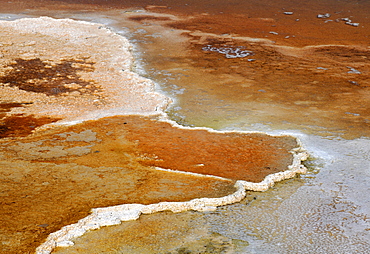 Effluent area of the Canary Spring Terrace, limestone sinter terraces, geysers, hot springs, colorful thermophilic bacteria, microorganisms, Mammoth Hot Springs Terraces in Yellowstone National Park, Idaho, Montana, Wyoming, America