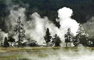 Steaming geothermal springs and geysers, Firehole River, Midway Geyser Basin, Yellowstone National Park, Wyoming, United States of America, USA