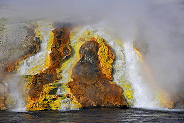 Runoff from Excelsior Geyser into Firehole River, Midway Geyser Basin, colored thermophilic bacteria, microorganisms, geysers, hot springs, Yellowstone National Park, Wyoming, United States of America, USA