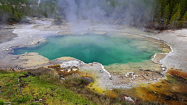 Cistern Spring Geyser, Back Basin, Norris Geyser Basin, geysers, geothermal springs in Yellowstone National Park, Wyoming, United States of America, USAational Park, National Park, Wyoming, United States of America, USA