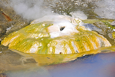 Ledge Geyser, Porcelain Basin, Norris Geyser Basin, geysers, geothermal springs in Yellowstone National Park, Wyoming, United States of America, USA