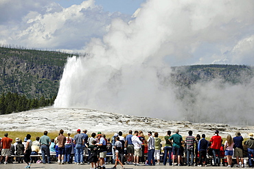 Tourists in front of an Old Faithful geyser eruption, Upper Geyser Basin, geothermal springs in Yellowstone National Park, Wyoming, United States of America, USA