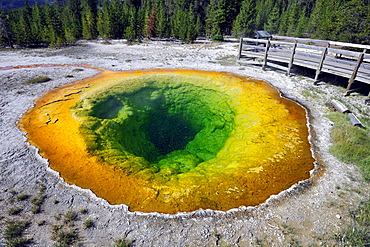 Morning Glory Pool geyser and boardwalk, Upper Geyser Basin, geothermal springs in Yellowstone National Park, Wyoming, United States of America, USA