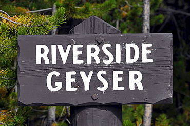 Sign Riverside Geyser, Upper Geyser Basin, geothermal springs in Yellowstone National Park, Wyoming, United States of America, USA