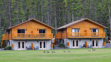 Log cabins Becker Chalets, Jasper National Park, Canadian Rockies, Rocky Mountains, Alberta, Canada