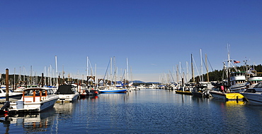 Friday Harbor, San Juan Island, Washington, Strait of Juan de Fuca, United States of America, USA