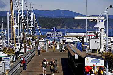 Marina, Friday Harbor, San Juan Island, Washington, Strait of Juan de Fuca, United States of America, USA