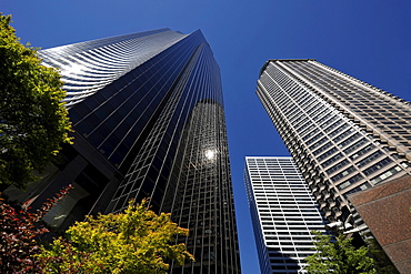 Columbia Center, formerly known as Bank of America Tower, Municipal Tower, formerly Key Tower, Seattle, Washington, United States of America, USA