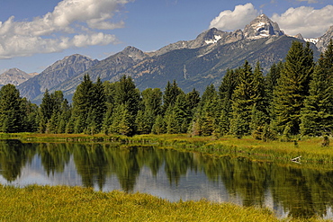 Snake River, Schwabacher Landing, in front of Teton Range, Grand Teton National Park, Wyoming, United States of America, USA