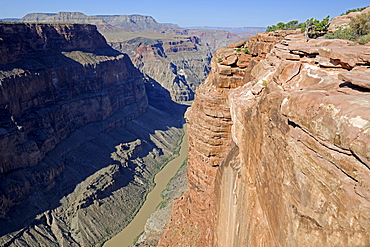 Grand Canyon North Rim, Toroweap Point, Colorado River, Arizona, USA, America