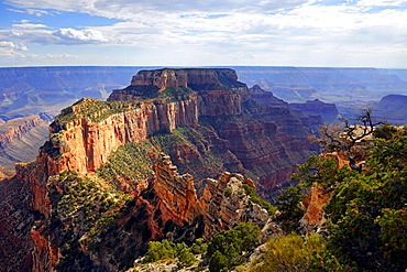 Evening mood, Grand Canyon North Rim, Cape Royal, Arizona, USA, America