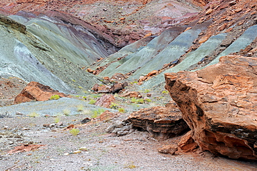 Stones coloured green by copper oxide, Marble Canyon, Arizona, USA