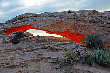 Mesa Arch at sunrise, Canyonlands National Park, Utah, USA