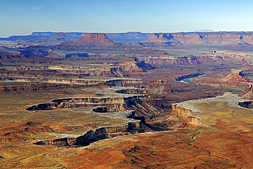 Green River View Point at sunrise, Canyonlands National Park, Utah, USA