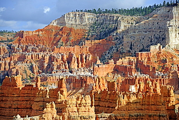 Rock formations and hoodoos in the morning, Sunrise Point, Bryce Canyon National Park, Utah, United States, America