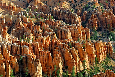 Rock formations and hoodoos, Bryce Canyon at sunrise, Bryce Point, Utah, Southwest, USA