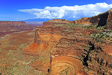 Shafer Canyon in evening light, Canyonlands National Park, Utah, Southwest, USA