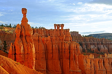 Thor's Hammer at dawn, Sunrise Point, Bryce Canyon National Park, Utah, USA, America