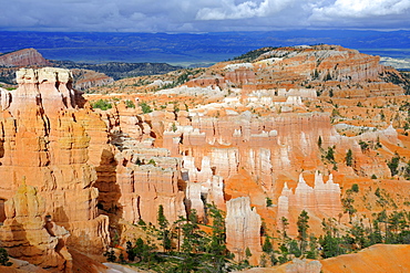 Rock formations and hoodoos in the evening, Bryce Canyon National Park, Sunset Point, Utah, USA, America