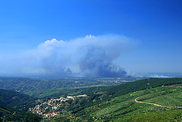 Forest fire in the Parque Natural da Serra da Estrela nature park, Loriga, Beira Alta, Portugal, Europe