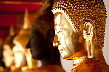 Buddha statues, Wat Po Temple, Bangkok, Thailand, Asia