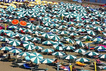 Parasols and sun loungers, mass tourism on the beach of Caorle, Adriatic Sea, Italy, Europe