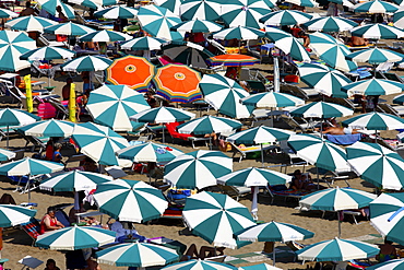 Parasols and sun loungers, mass tourism on the beach of Caorle, Adriatic Sea, Italy, Europe