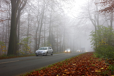 Highway in dense fog, autumn, visibility below 100 metres, Essen, North Rhine-Westphalia, Germany, Europe