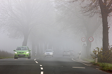 Road between Essen and Bochum in dense fog, autumn, visibility below 100 metres, North Rhine-Westphalia, Germany, Europe