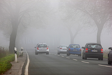 Road between Essen and Bochum in dense fog, autumn, visibility below 100 metres, North Rhine-Westphalia, Germany, Europe