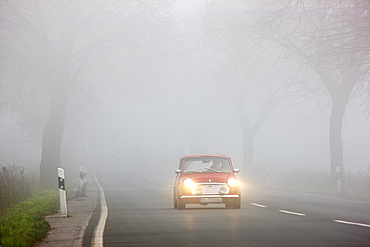 Road between Essen and Bochum in dense fog, autumn, visibility below 100 metres, North Rhine-Westphalia, Germany, Europe