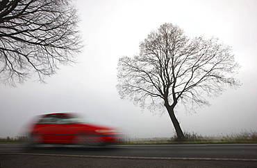 Road between Essen and Bochum in dense fog, autumn, visibility below 100 metres, Essen, North Rhine-Westphalia, Germany, Europe