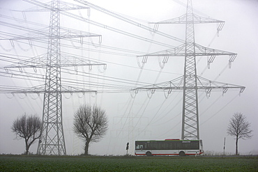 Road between Essen and Bochum in dense fog, autumn, visibility below 100 metres, Essen, North Rhine-Westphalia, Germany, Europe