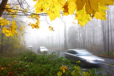 Highway in dense fog, autumn, visibility below 100 metres, Essen, North Rhine-Westphalia, Germany, Europe