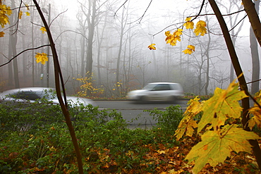 Highway in dense fog, autumn, visibility below 100 metres, Essen, North Rhine-Westphalia, Germany, Europe