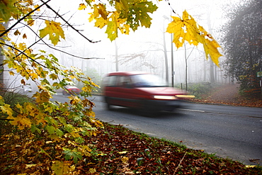 Highway in dense fog, autumn, visibility below 100 metres, Essen, North Rhine-Westphalia, Germany, Europe