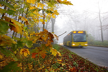 Highway in dense fog, autumn, visibility below 100 metres, Essen, North Rhine-Westphalia, Germany, Europe