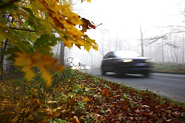 Highway in dense fog, autumn, visibility below 100 metres, Essen, North Rhine-Westphalia, Germany, Europe