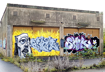 Transformer station painted with graffiti, a former train repair centre, closed in 2003, Wedau district, Duisburg, North Rhine-Westphalia, Germany, Europe