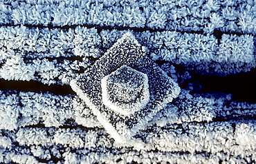 Thick bolt with a washer screwed into a wooden beam, covered in hoar frost, industrial ruin