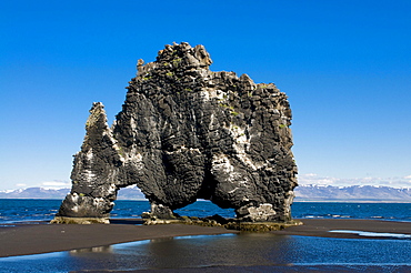 Hvitserkur sea stack, Vatnsnes Peninsula, Iceland, Europe