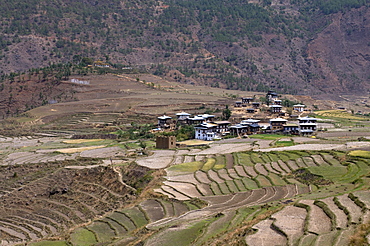 View over mountains terraces near Chimi Lhakhang temple or monastery, Bhutan, Asia