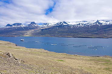 Fjord in front of mountain landscape in clouds with mobile shrimps farm, Eastern Coast, Iceland, Europe