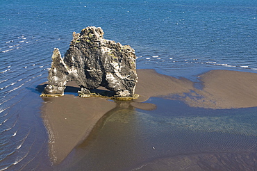 Hvitserkur sea stack, Vatnsnes Peninsula, Iceland, Europe